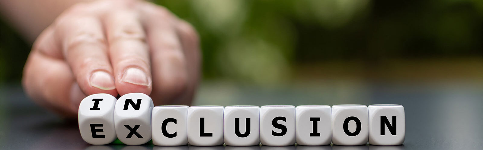 exclusion inclusion 