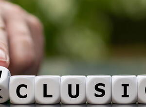 exclusion inclusion 